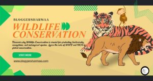 Wildlife Conservation