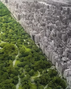 Rular Ve urban